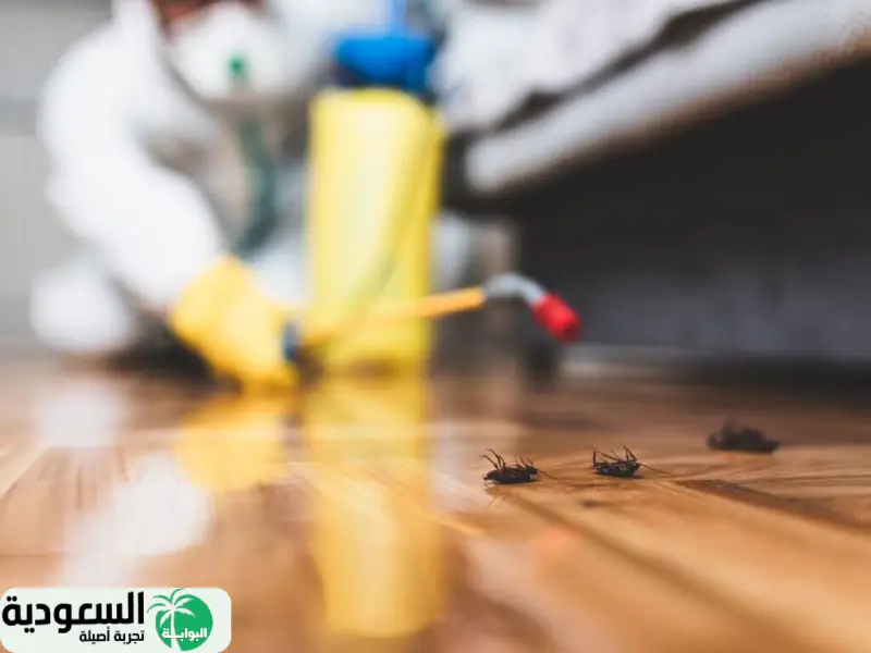 ما هي العلامات التي تشير إلى وجود الصراصير في المنزل؟