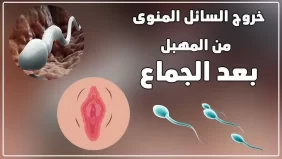 رائحة السائل المني للرجال و مدي خطوتها علي مهبل المراة