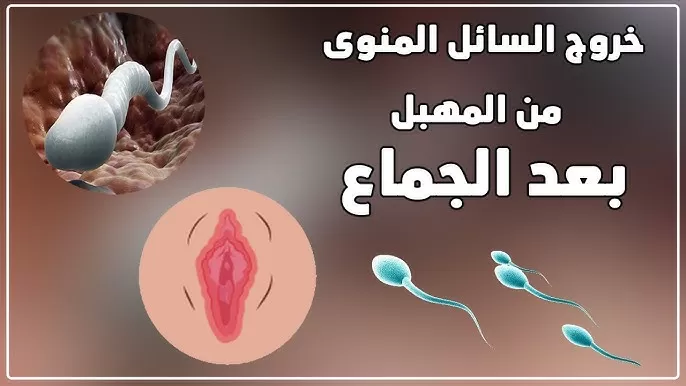 رائحة السائل المني للرجال و مدي خطوتها علي مهبل المراة