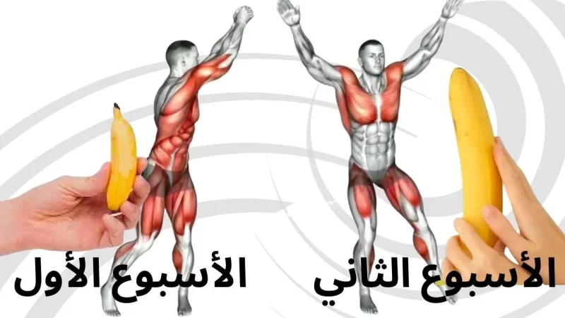 تمارين زيادة حجم العضو الذكري واهم الامراض التي تصيب القضيب