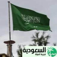 أغاني وطنية سعودية
