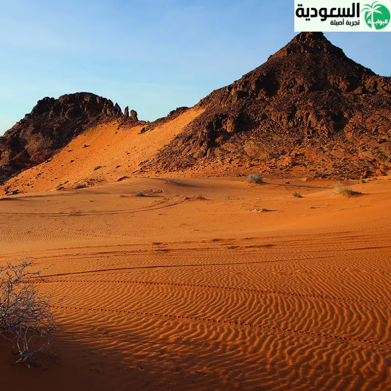 جغرافيا واقتصاد المملكة العربية السعودية