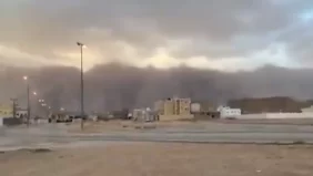 ما هي مناطق جنوب الرياض؟