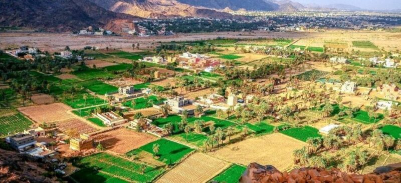 جنوب السعودية