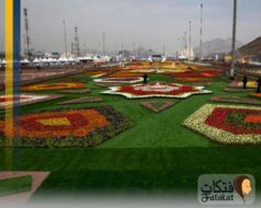 اشهر الحدائق الوطنية في السعودية