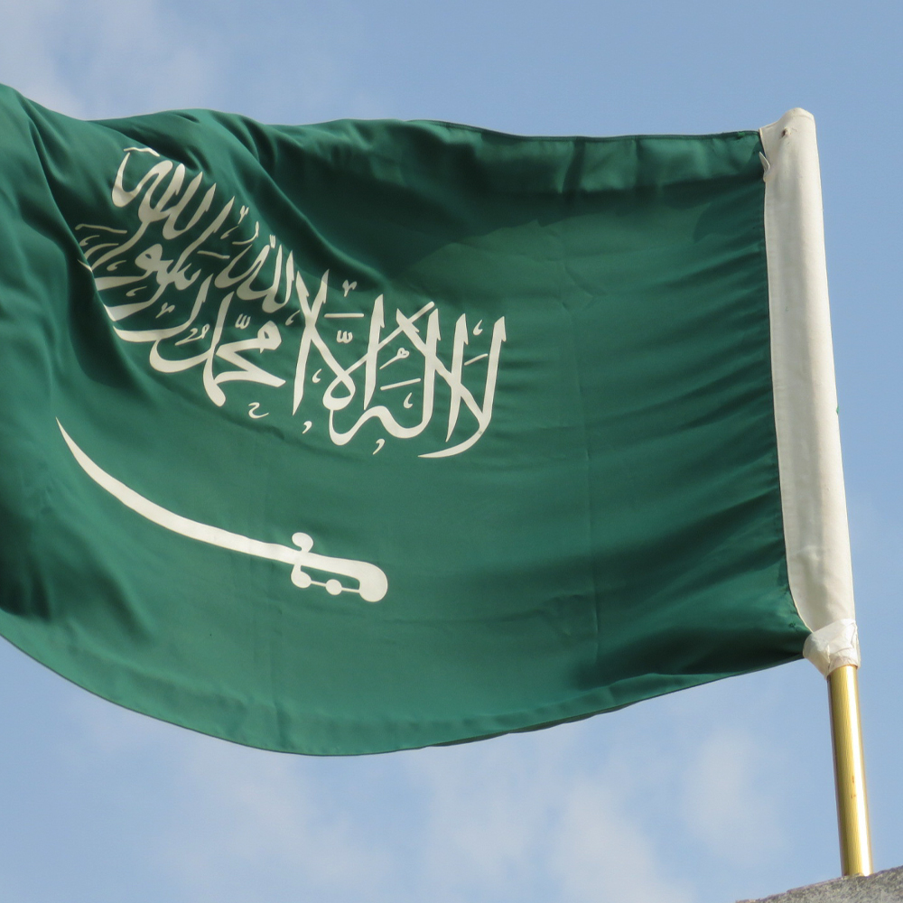 الملاكمة والمصارعة (1980)