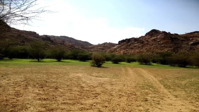 نبذه عن محافظة أضم في السعودية