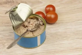 افضل نوع تونه في السعودية