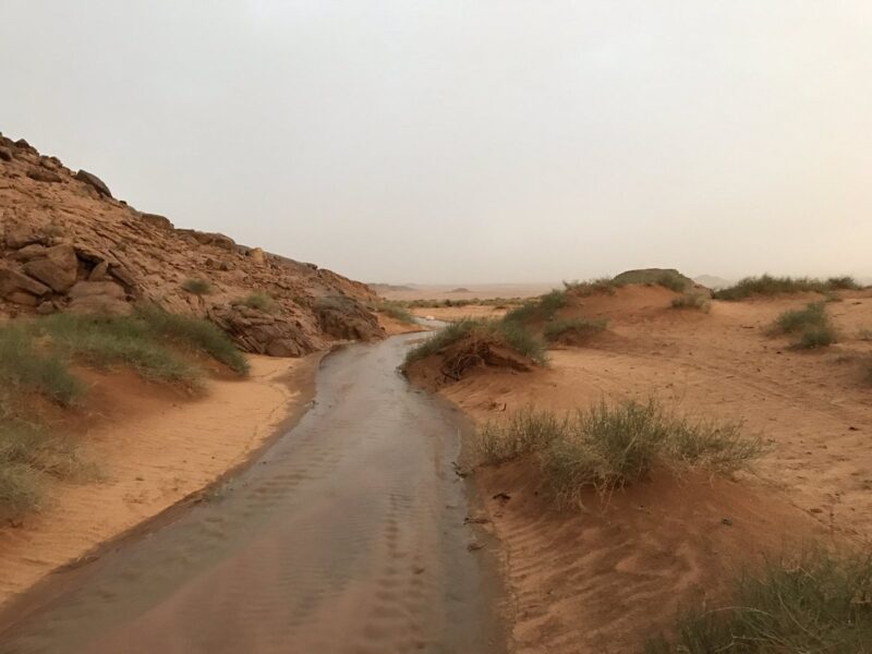 ما لا تعرفه عن مدينة ضرية