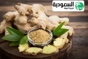 ما فوائد الزنجبيل