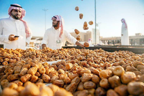 مشروع تجفيف البلح السعودية
