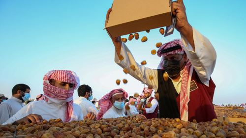 مشروع تجفيف البلح السعودية