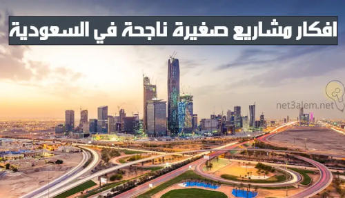 ابرز المشاريع الناجحة في السعودية