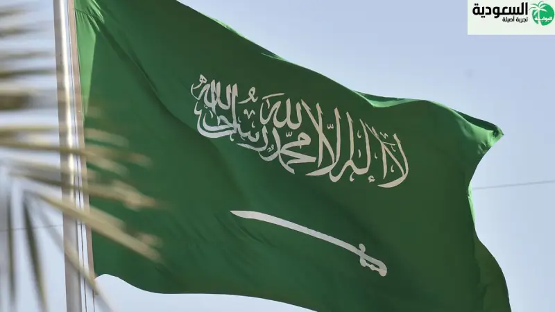 التأمين الصحي الحكومي في المملكة العربية السعودية