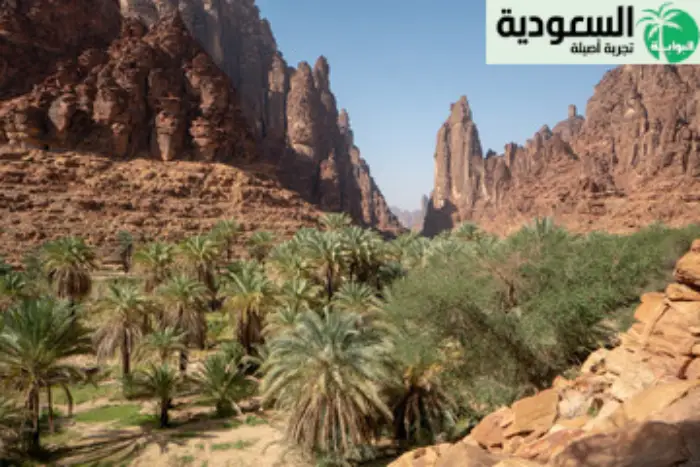 محجة في تبوك
