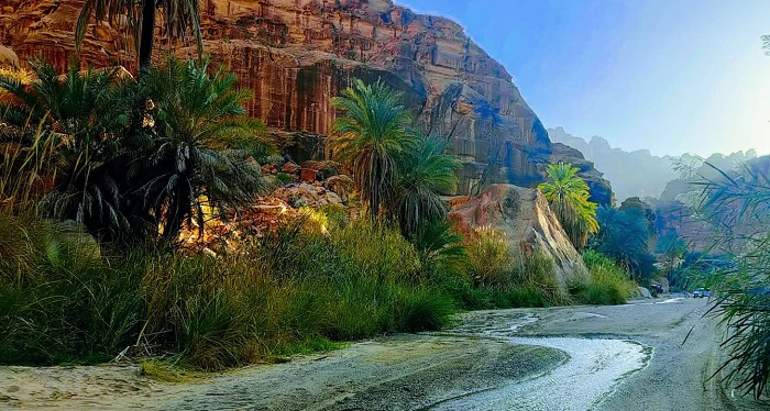 ماذا تعرف عن وادي قراقر في تبوك