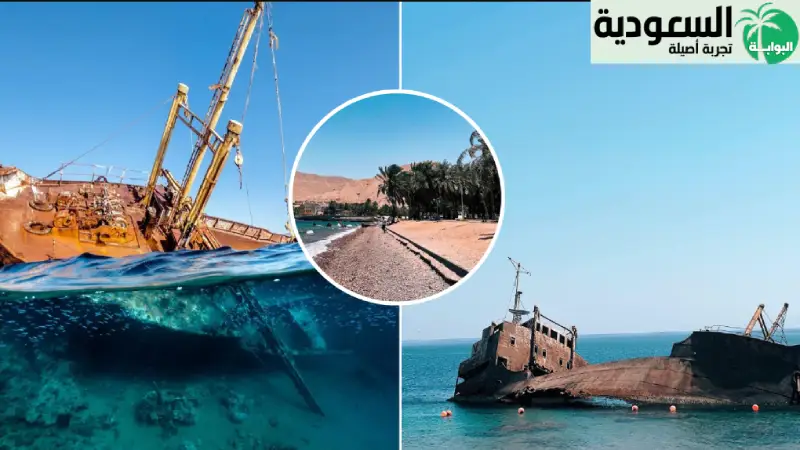 تيتانيك تبوك منطقة جذب سياحي على الساحل السعودي