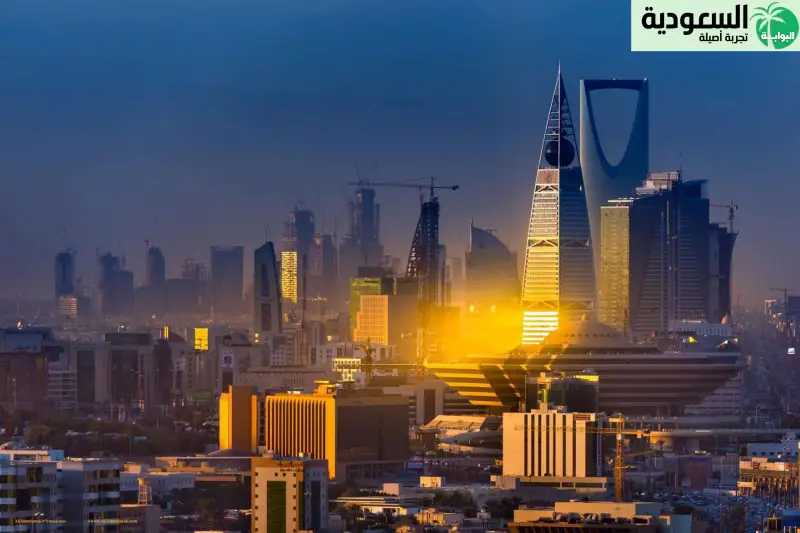 الدور الاجتماعي لمدينة القصب في الرياض