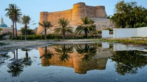 ماذا تعرف عن جزيرة دارين السعودية