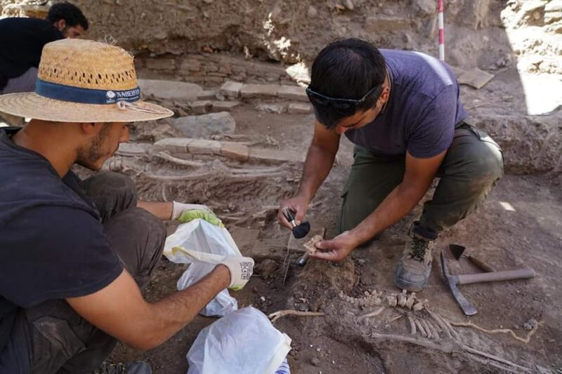 اكتشاف مذهل في غرناطة: مقابر جماعية تكشف عن حقبة الأندلس الإسلامية