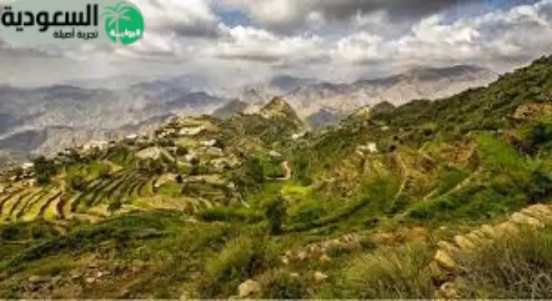 محافظة العيدابي