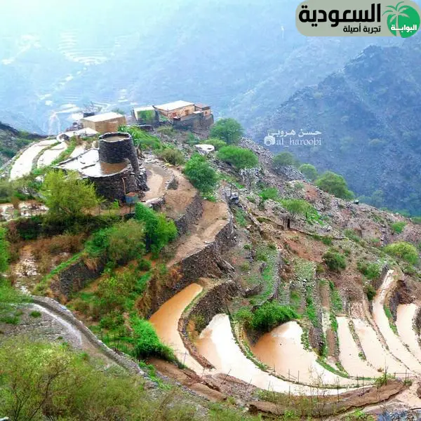 مقاطعة الهروب