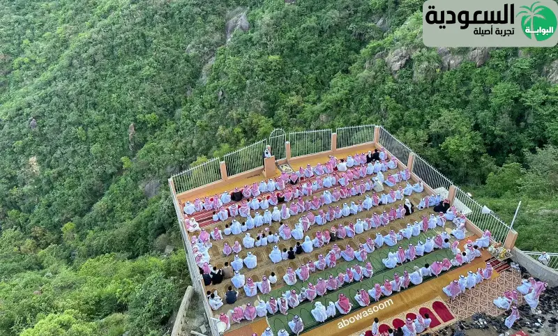 محافظة فيفاء