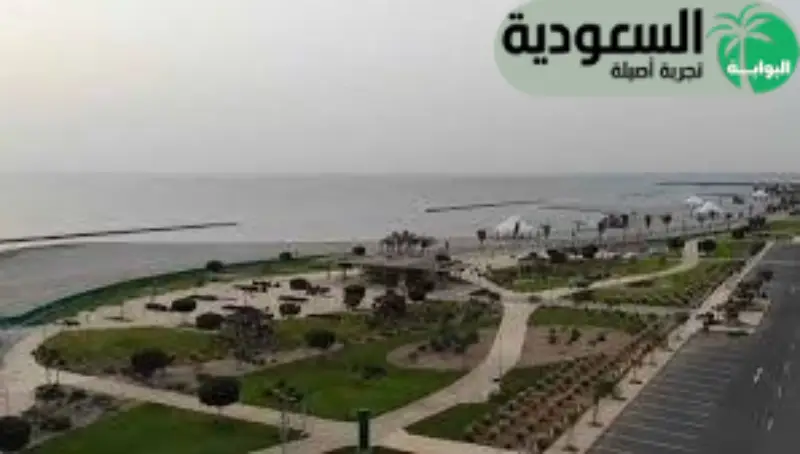 محافظة بيش