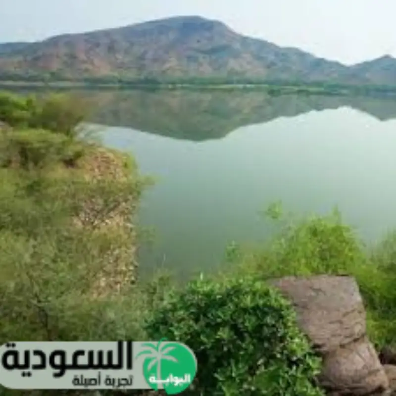 محافظة العرضة