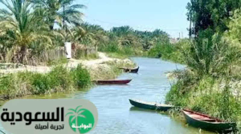محافظة الدائر