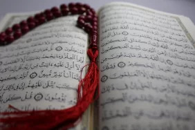 Illuminating Hearts with Quranic Wisdom and Arabic Mastery