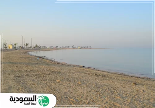 دليل شامل لـ شاطئ السيف بجدة