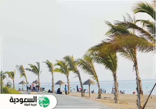 شاطئ السيف