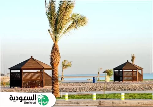 تحديد أولوياتك قبل البحث عن فندق