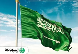 تعرف إلى رقم واتساب دار الإفتاء السعودية ( الأرقام المجانية _ أرقام كبار العلماء)