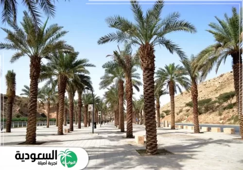  ترفيهية داخل بحيرة وادي نمار 