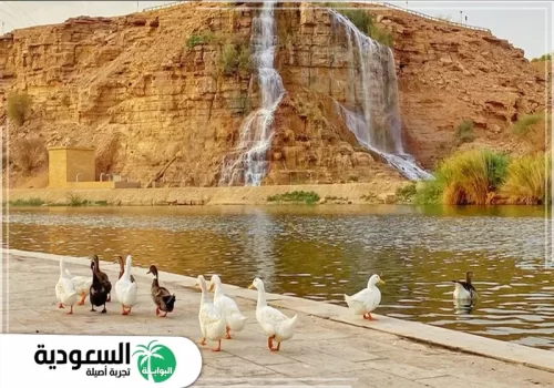 أهم 6 أنشطة ترفيهية داخل بحيرة وادي نمار 