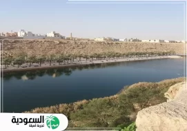 أهم 6 أنشطة ترفيهية داخل بحيرة وادي نمار الرياض لا تفوتها