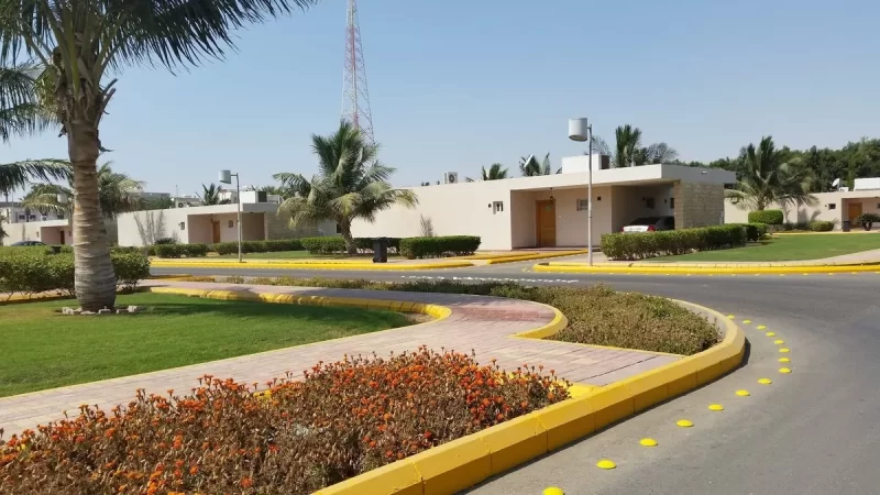 حديقة أرامكو في جدة: أوقات العمل، الأنشطة، الخدمات