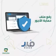 متى ظهرت الخدمات الحكومية الإلكترونية