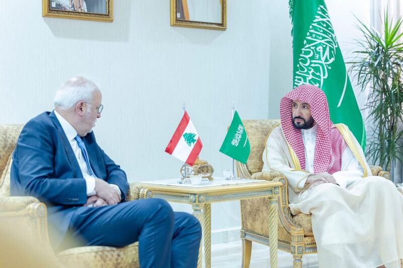 وزير العدل يبحث تعزيز التعاون مع نظيره اللبناني