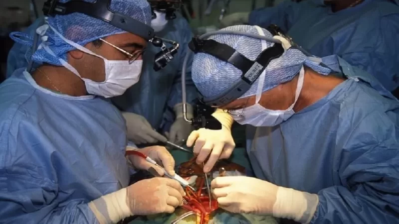 أول عملية من نوعها على مستوى العالم .. نجاح زراعة كبد خنزير معدل وراثيًا في جسم إنسان