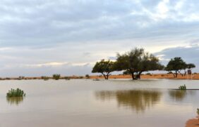 وادي الثمامة