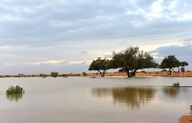 وادي الثمامة