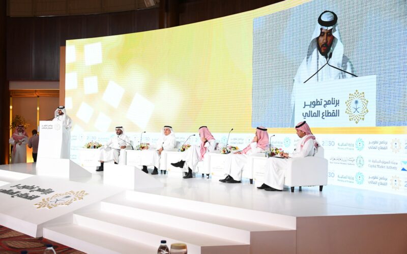 ما هي أهداف برنامج تطوير القطاع المالي؟