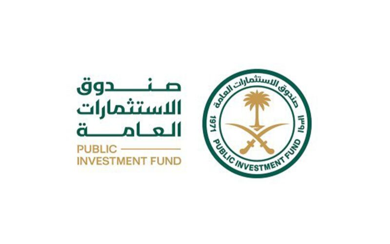المحافظ الاستثمارية لصندوق الاستثمارات العامة