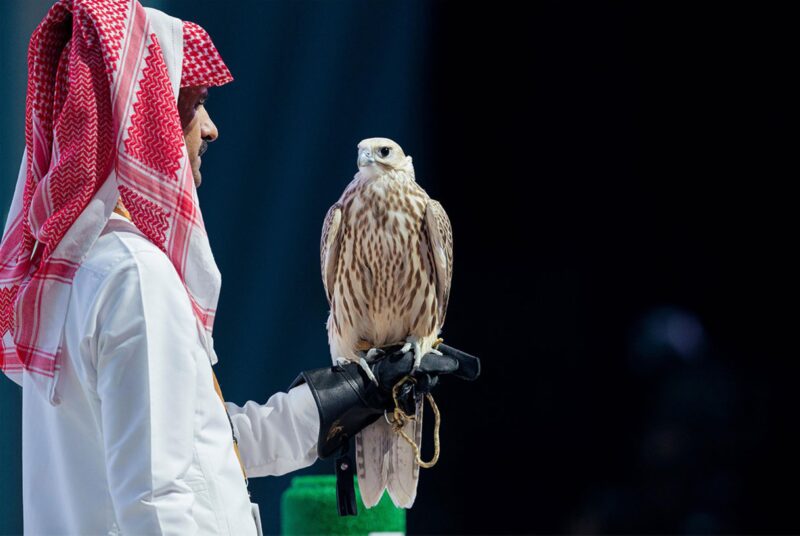 قائمة بطيور نادرة مستوطنة في السعودية