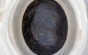 الحجر الأسود