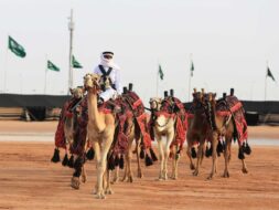 قائمة بأسماء الإبل بحسب ألوانها
