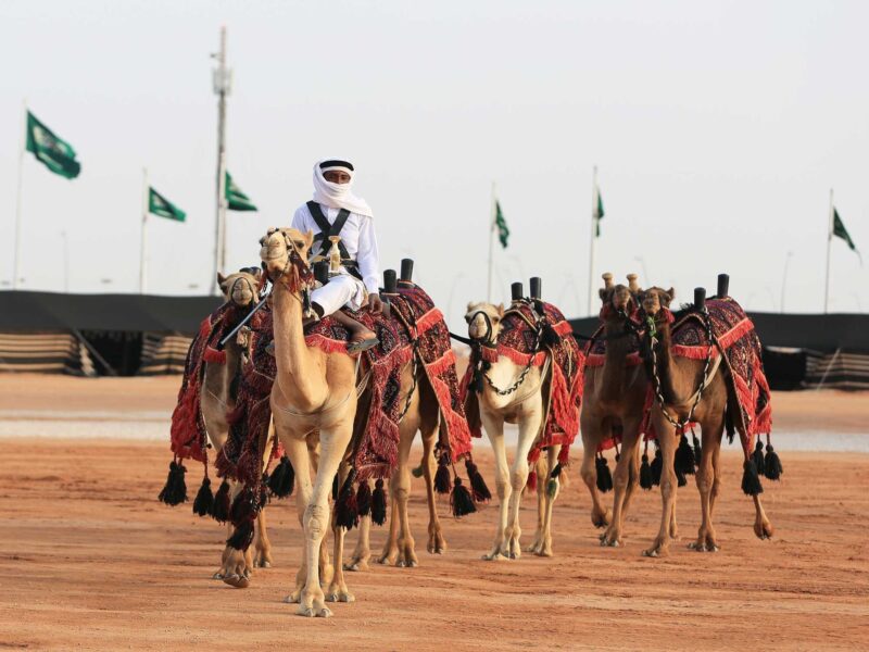 قائمة بأسماء الإبل بحسب ألوانها